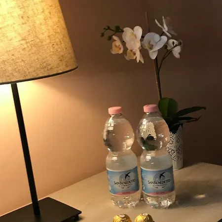 L'arena 게스트하우스